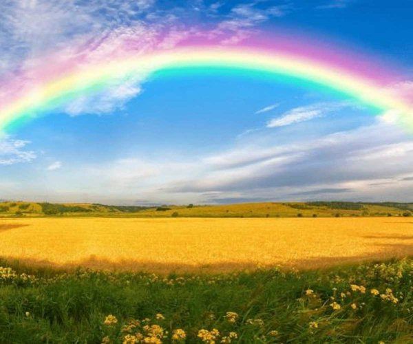 Радуга счастья