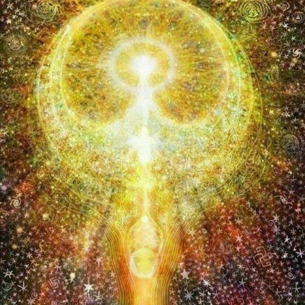 Сэл Рейчел интеграция души