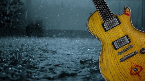 Гитара в поле