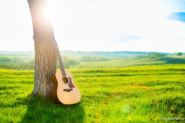 Акустическая гитара в природе