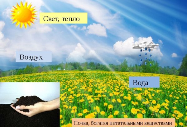 Морская вода и солнце