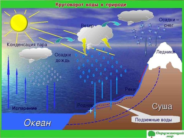 Приливы и отливы гифка