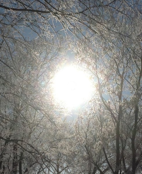 Утренняя Заря