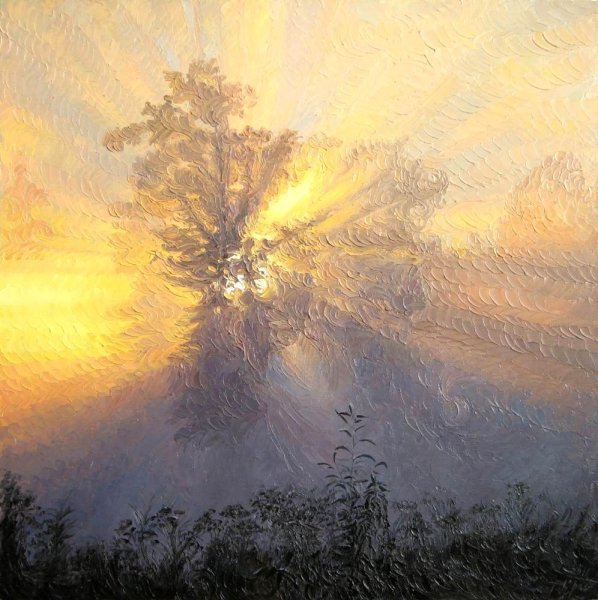 Лучи солнца зимой