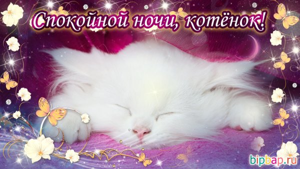 Спокойной вам ночи приятного сна