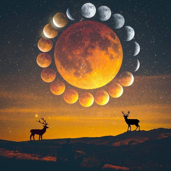 Желтая Луна живопись