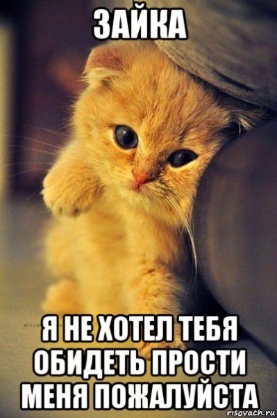 Прости меня Зайка