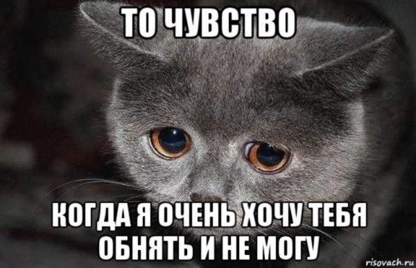 В мире грустит один