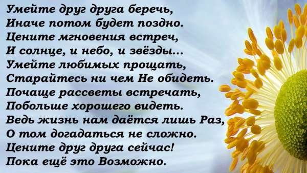 Стих прощение у мамы