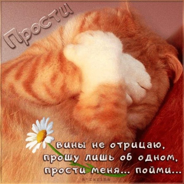 Предложение со словом солнце