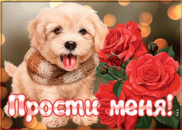 Прости меня пожалуйста