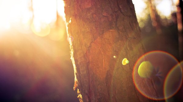 Волшебный фон