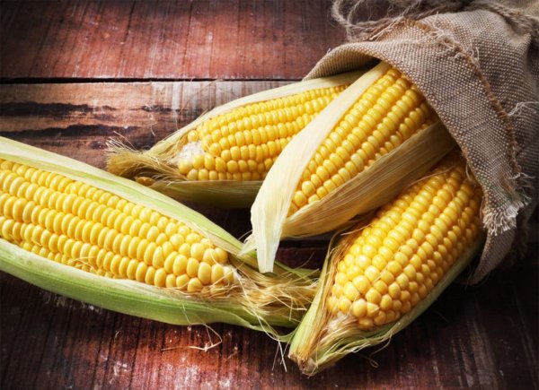 Фон для афиши сельское хозяйство