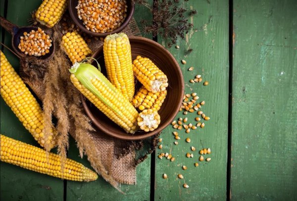 10 Фактов о кукурузе