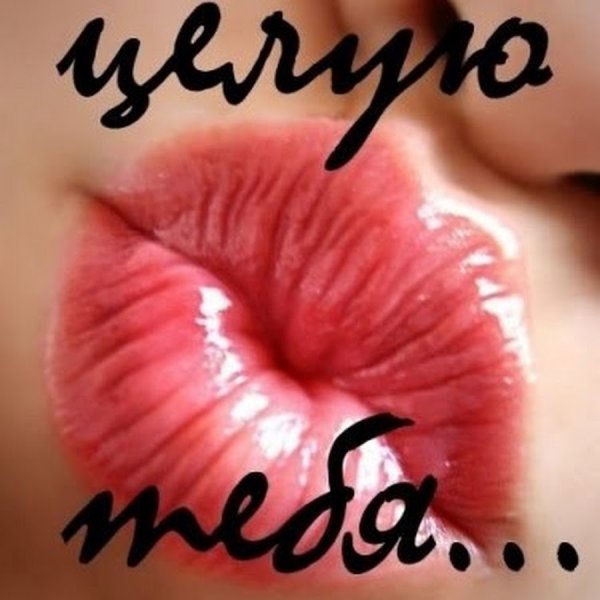 Целую тебя картинки