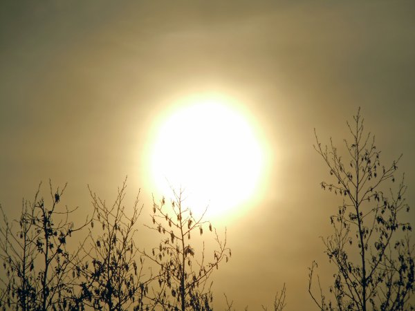 Неяркое солнце