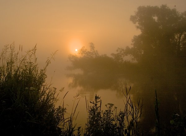 Тусклое солнце