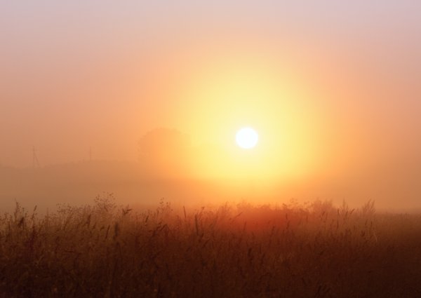 Солнце в тумане