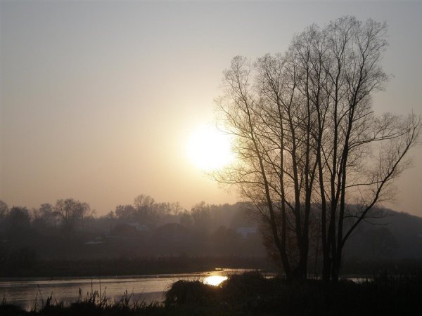 Тусклое солнце пейзаж