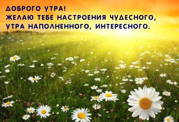 Улыбнитесь новому Дню