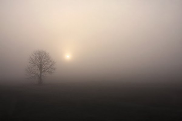 Поле солнце