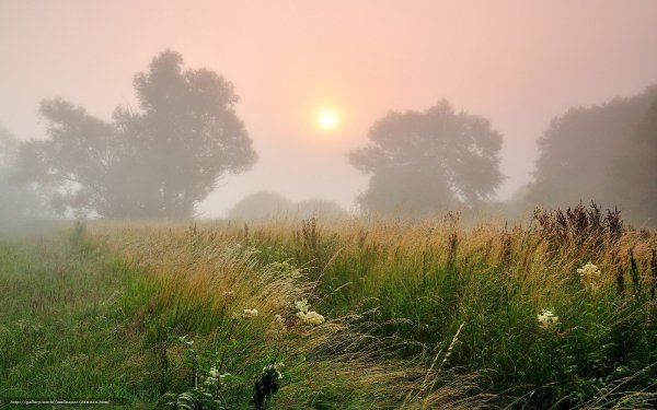 Зимние пейзажи оранжевые