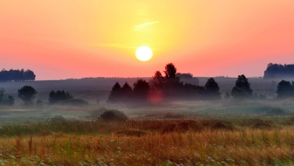Утренняя заря