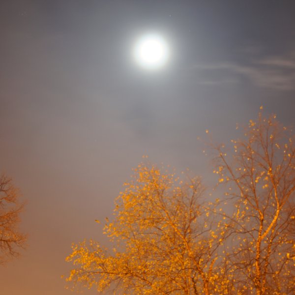 Солнечная поздняя осень