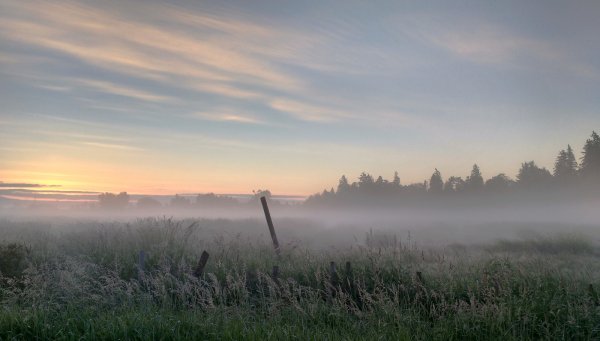Свет в тумане