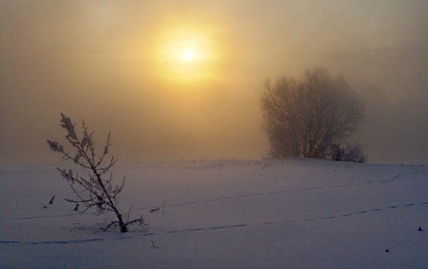 Зимнее солнце в дымке