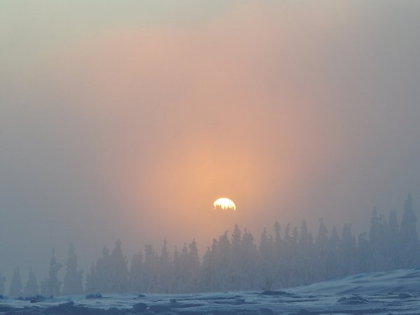 Солнце на белом фоне