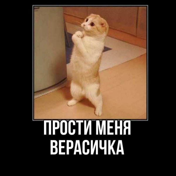 Прости меня солнышко