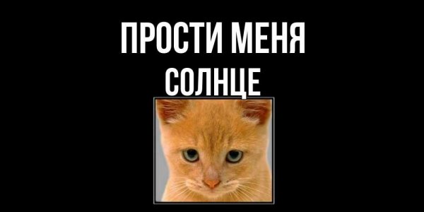 Прости солнышко