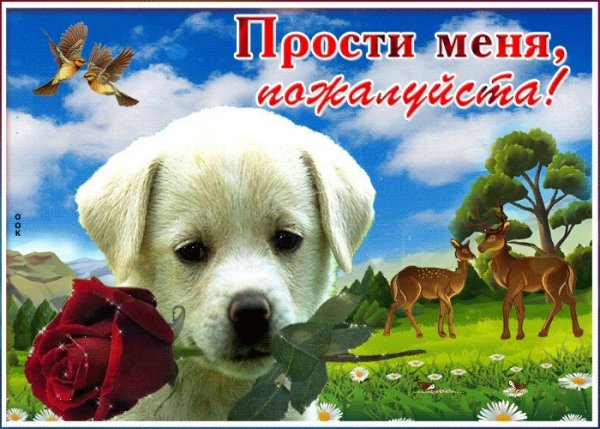 Прости меня