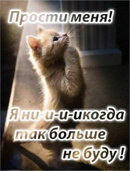 Простименяпожалуйст любимый