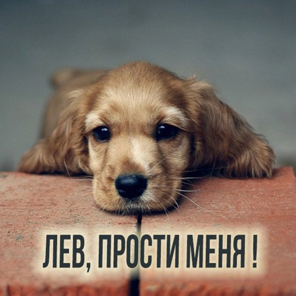 Прости меня