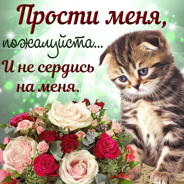 Прости меня пожалуйста