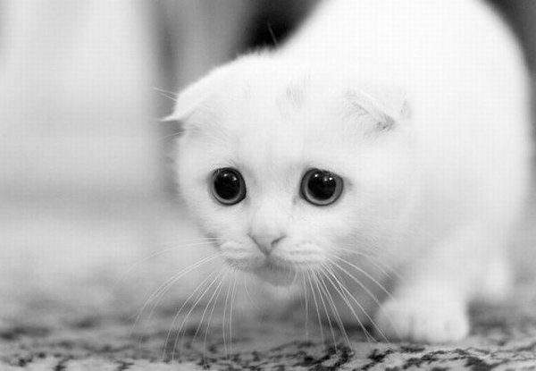 Грустно картинки прикольные