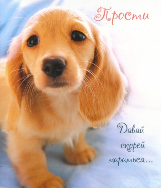 Открытки с извинениями