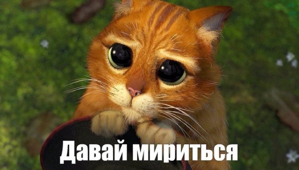 Стеснительный котик