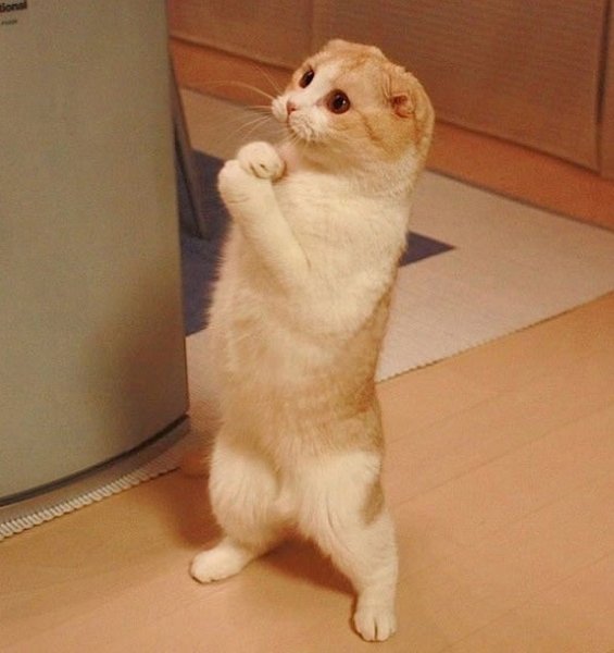 Прости меня и я