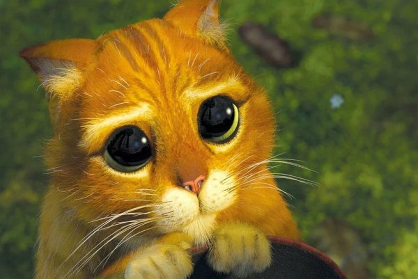 Открытка прости меня пожалуйста