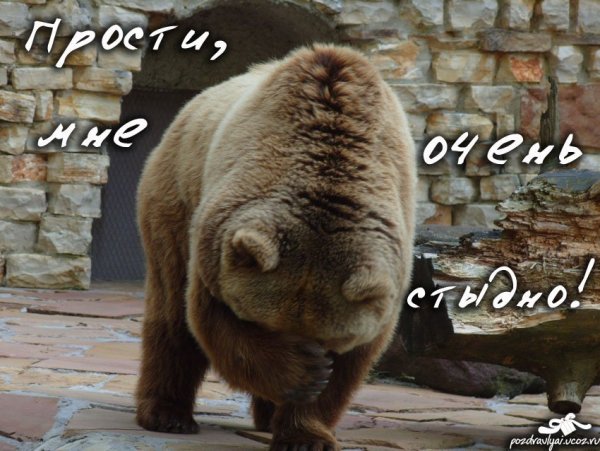 Смайлики извинения картинки