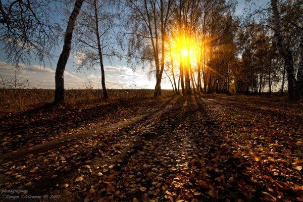 Солнечная поздняя осень