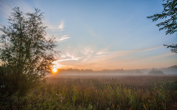 Раннее утро рассвет
