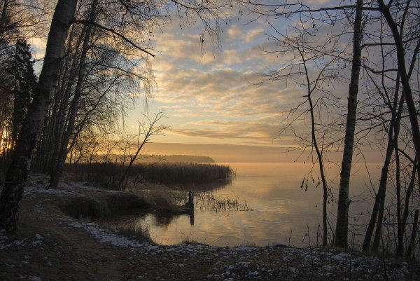 Солнечное ноябрьское утро