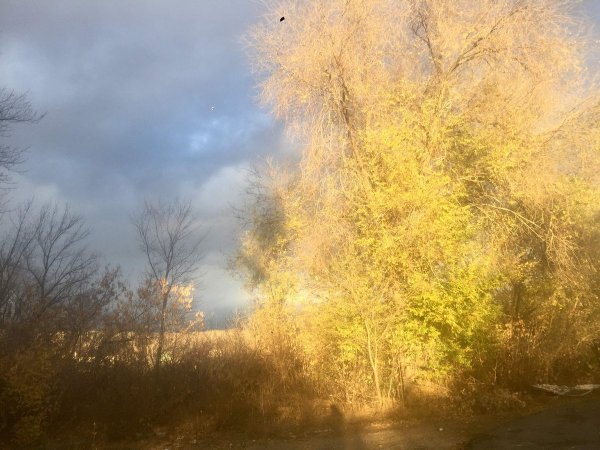 Солнечное ноябрьское утро