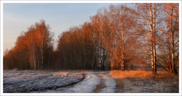 Солнечная поздняя осень