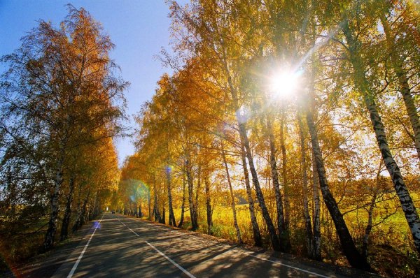 Осенняя дорога солнце