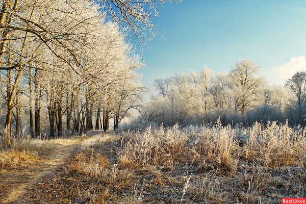Поздняя осень солнечно